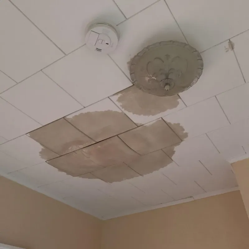Ceiling Water Damage Repair in Gallitzin, PA
