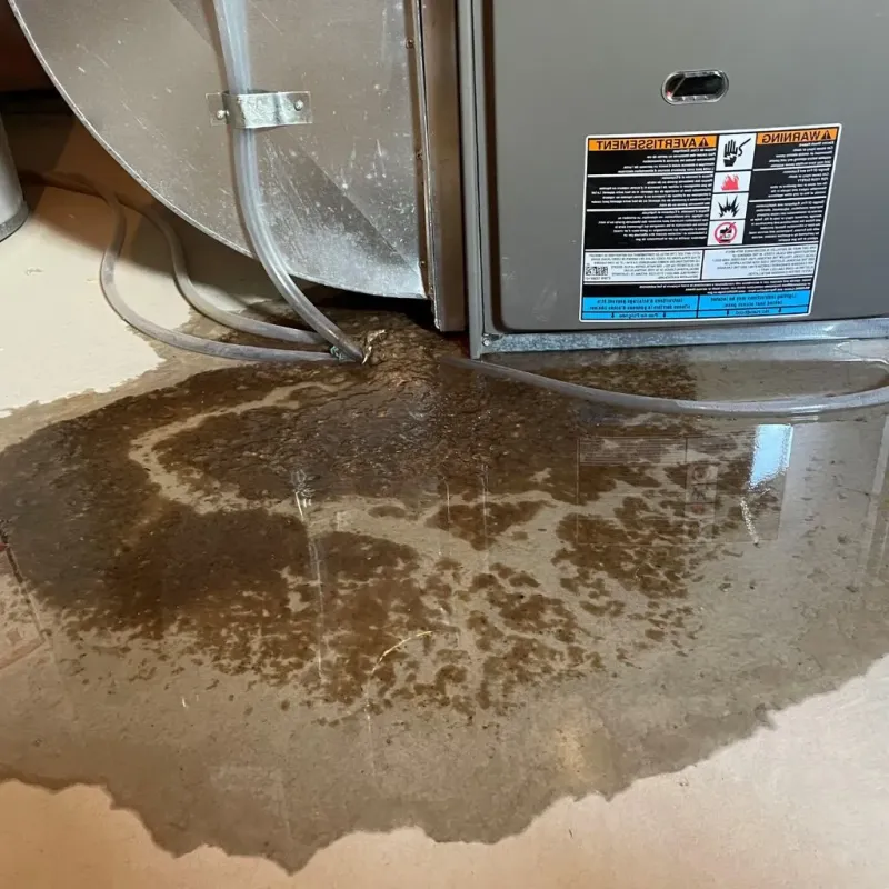 Pipe Burst and Leak Restoration in Gallitzin, PA