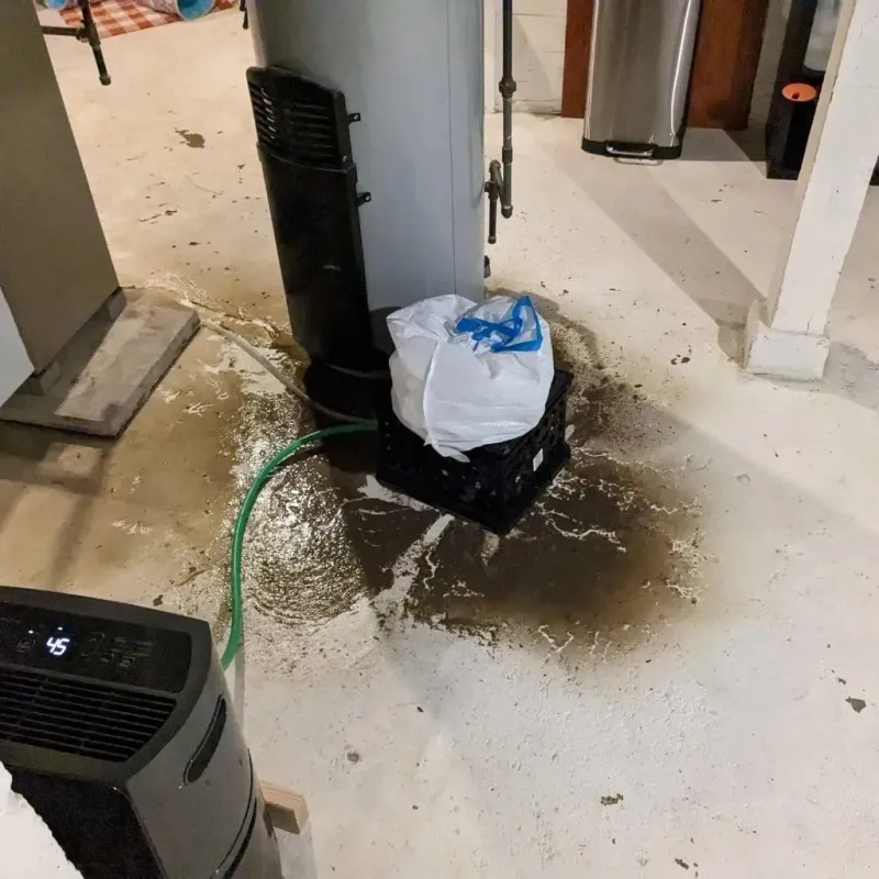 Sewage Backup Cleanup Service in Gallitzin, PA